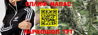 амф Краснознаменск